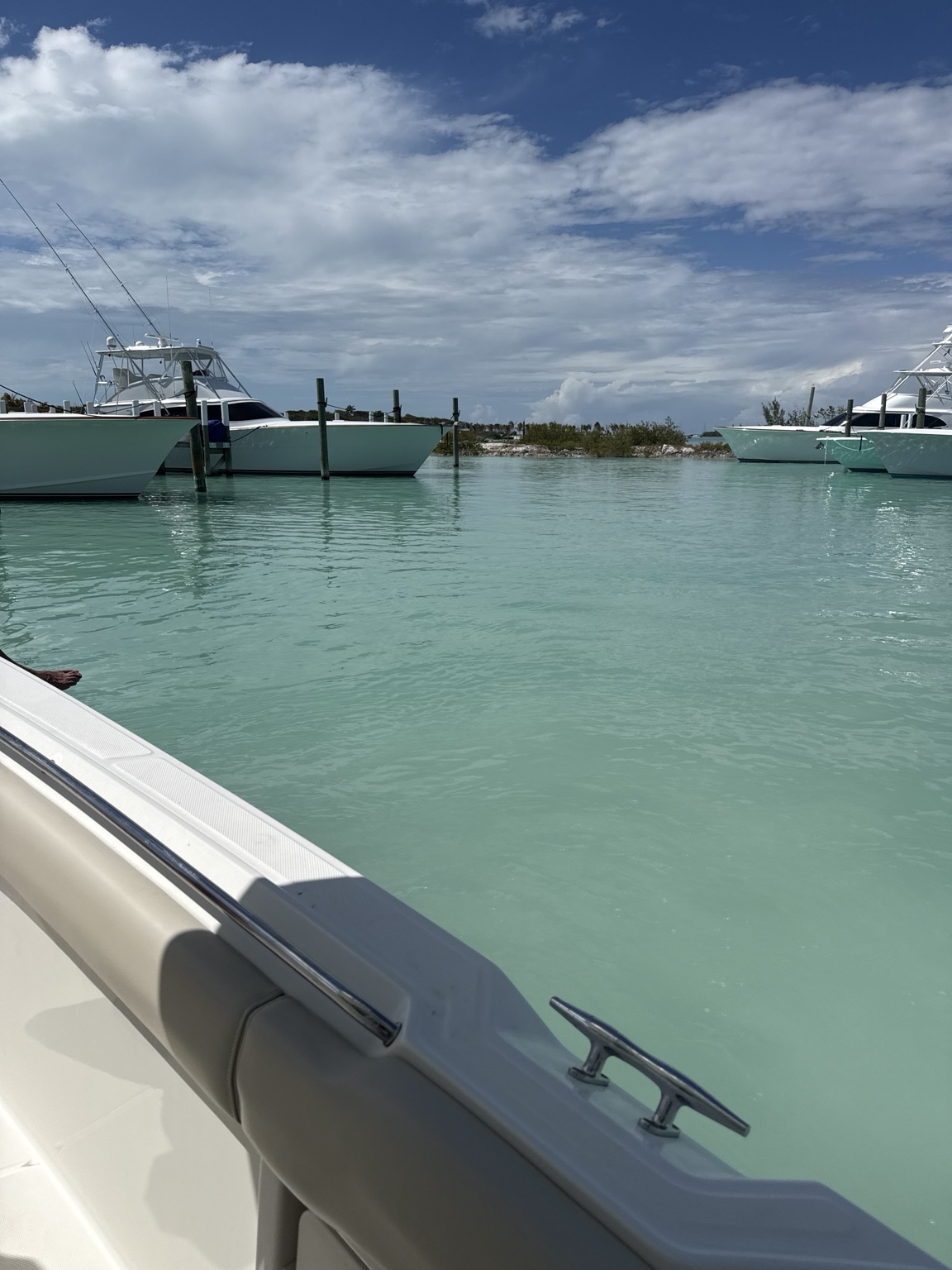 Abaco 19