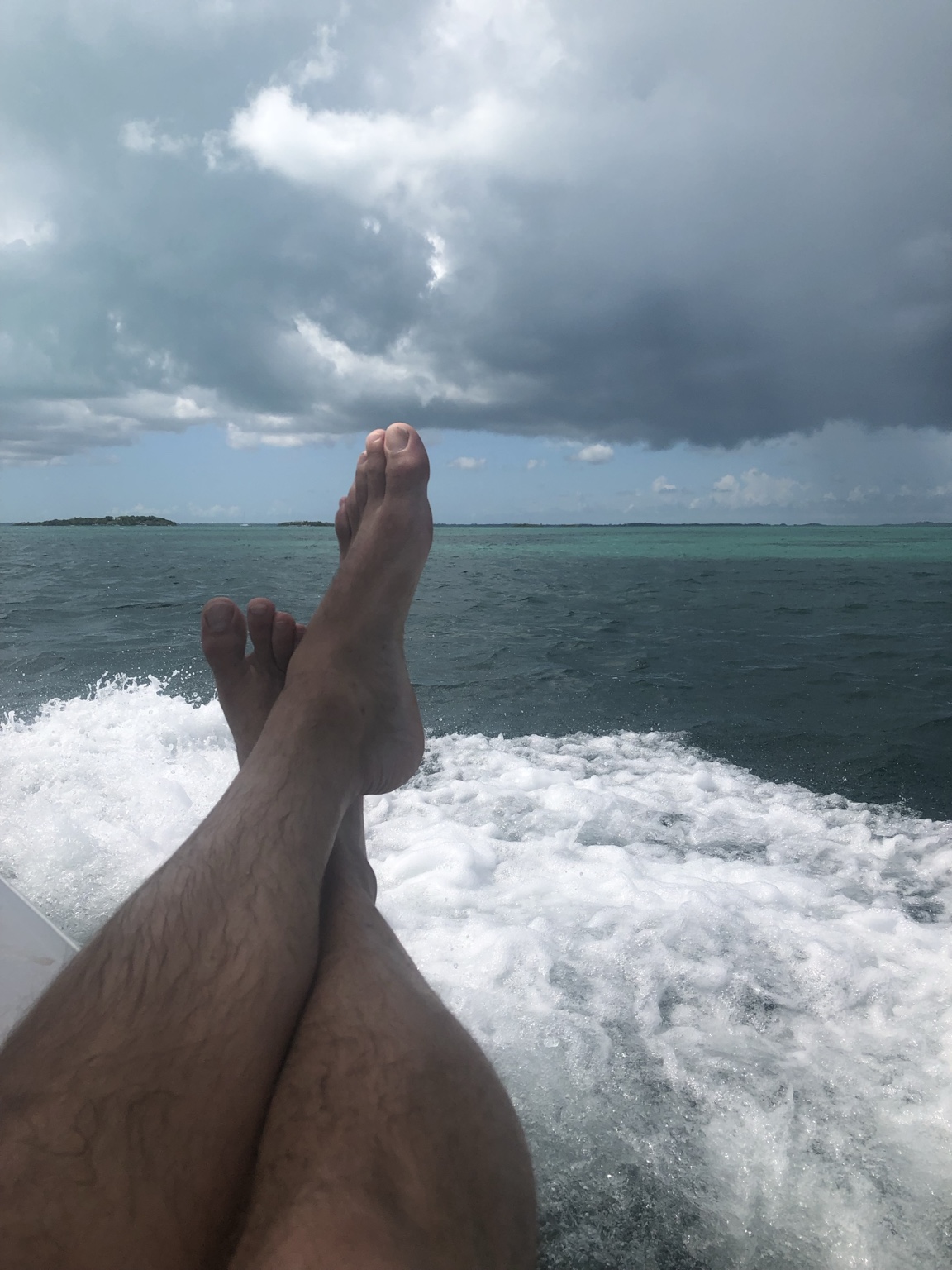 Abaco 28
